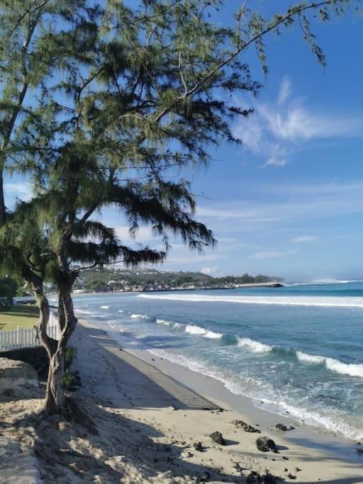 Beau T3 Litchi Vue Ocean Piscine Lägenhet Saint-Gilles-les Bains Exteriör bild